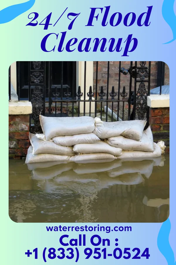 24/7 Flood Cleanup in River Grove, IL
