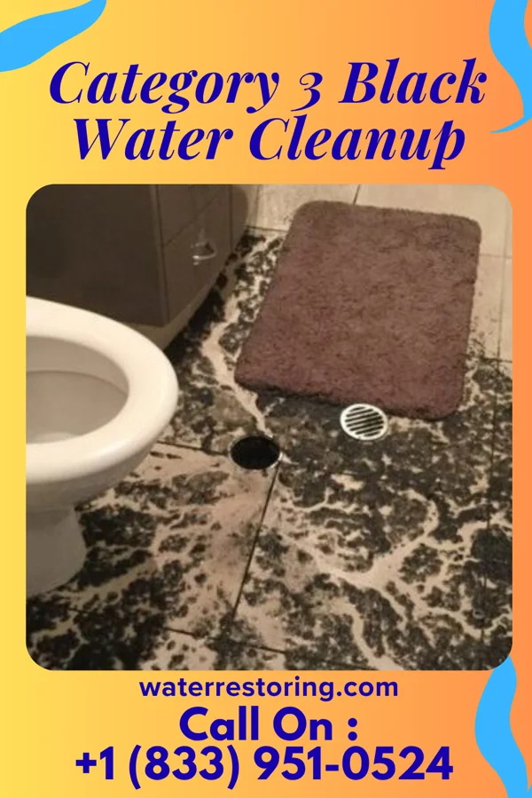 Category 3 Black Water Cleanup in River Grove, IL