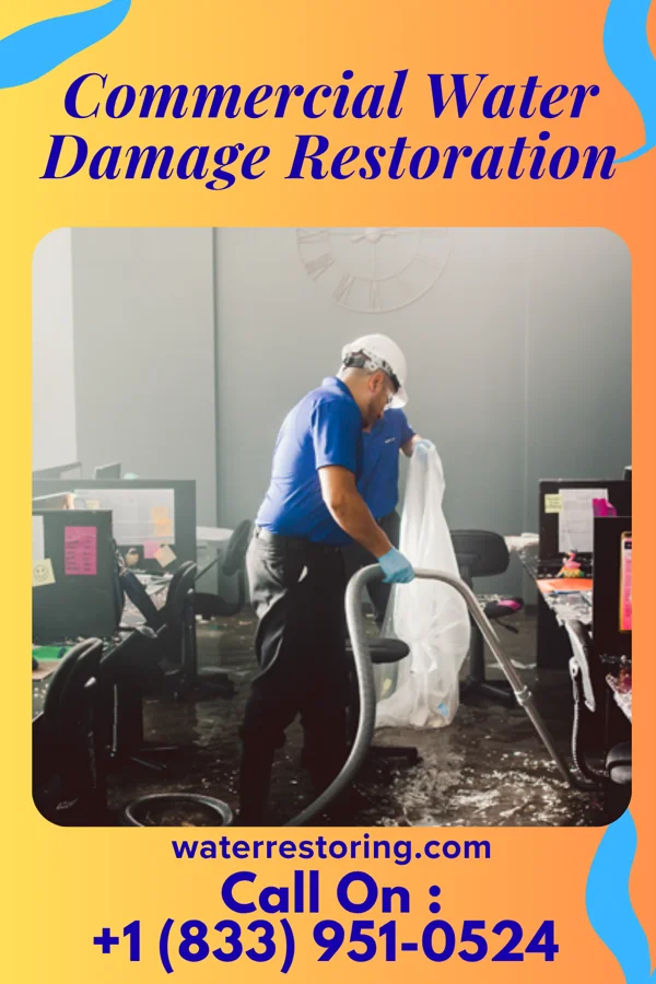 Commercial Water Damage Restoration in River Grove, IL