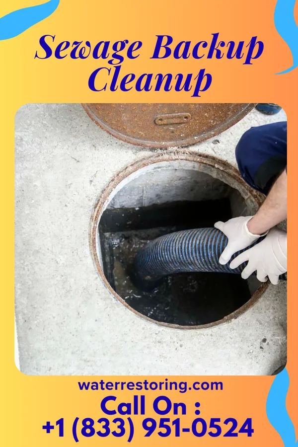 Sewage Backup Cleanup in River Grove, IL